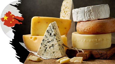 Rabobank : Savoir capter la demande croissante de fromage en Chine | Lait de Normandie... et d'ailleurs | Scoop.it