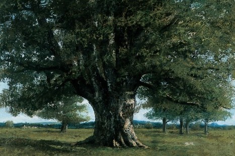 Le Chêne de Flagey de Gustave Courbet rentre au pays | Tout le web | Scoop.it