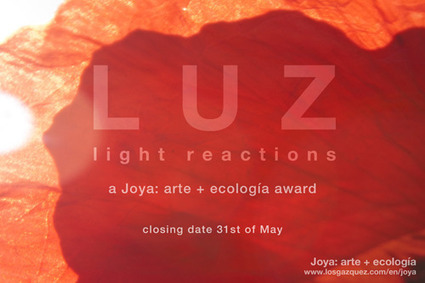 is interested in receiving proposals for multimedia work that evidences light dependent reactions upon the environment. | Digital #MediaArt(s) Num&eacute;rique(s) | Scoop.it
