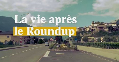 Positivr : "La vie après le Roundup ? Ça ressemblera à ça !  Bel exmpleSuisse | Ce monde à inventer ! | Scoop.it