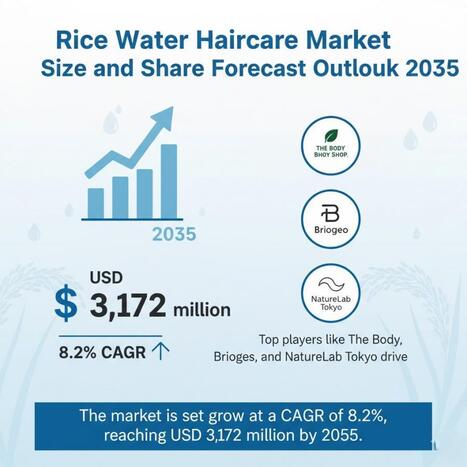Global and European Rice Water Haircare Market Share Analysis Outlook 2025–2035 - Waste Management & Recycling News Today - EIN Presswire | Industry 411 - Waste Management | Scoop.it