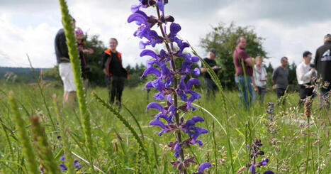 Le Russey. Une soir&eacute;e ludique consacr&eacute;e &agrave; la biodiversit&eacute;, ce vendredi | Revue de presse | L'habitat & son environnement dans le Doubs : Architecture. Urbanisme. Environnement. Paysage. Logement | Scoop.it