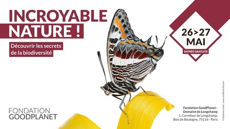 Incroyable nature ! - Fête de la Nature 2018 à la Fondation GoodPlanet - Domaine de Longchamp | GREENEYES | Scoop.it