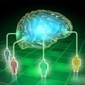 Lyon « virtualise » son intelligence collective ! | Economie Responsable et Consommation Collaborative | Scoop.it