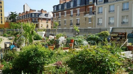 Ces lieux abandonnés qui deviennent des espaces verts à Paris | Actualités Seine-Saint-Denis | Scoop.it