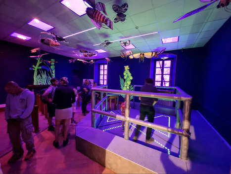 Consolation-Maisonnettes. « Nuit blanche chez les insectes » : l’expo dure jusqu'à fin octobre | Variétés entomologiques | Scoop.it