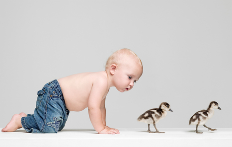 Babies learn to babble like birds learn to sing | Science News | Scoop.it