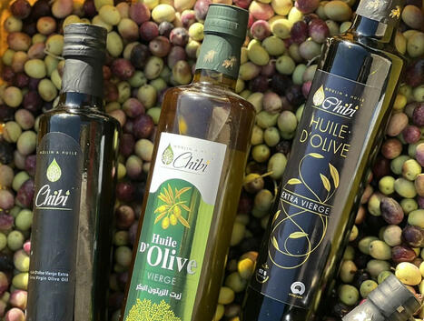 Huile d'olive : Deux marques algériennes primées à un concours international en Italie | ITERG - Veille sectorielle | Scoop.it