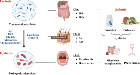 Microbiota–Host Interactions: Explo...