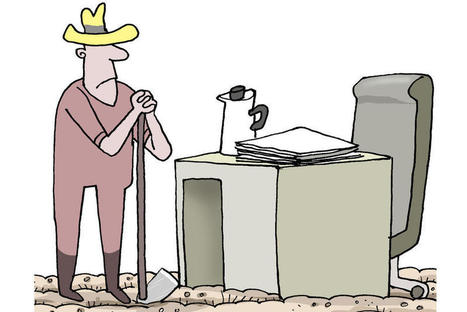 Honduras: La crise du caf&eacute; lamine les petits cultivateurs | AM&Eacute;RIQUES | Scoop.it