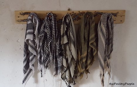 Coat Rack - Peg Rail - One Plank Project | 1001 Pallets ideas ! | Scoop.it