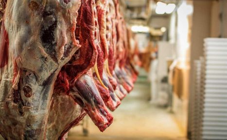 Le nouveau service d'Interbev relie l'éleveur à l'abattoir | Lait de Normandie... et d'ailleurs | Scoop.it