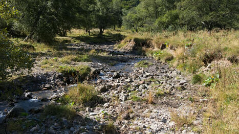 A cause de la pollution, les cours d'eau européens se trouvent dans un état sanitaire "critique" | Regards croisés sur la transition écologique | Scoop.it