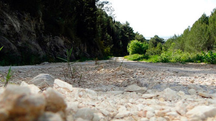 Turismo ecologico, agli italiani piace la vacanza green | EcoTurismo e Mobilità Sostenibile | Scoop.it