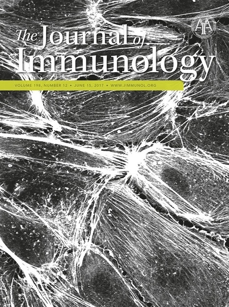 Transcriptional Heterogeneity of Mast Cells and Basophils upon Activation | Allergy (and clinical immunology) | Scoop.it