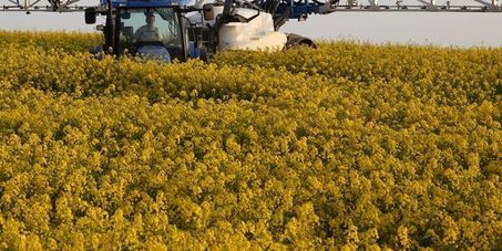 « Quatre pour mille » : le pari osé du ministre de l’agriculture | Paysage - Agriculture | Scoop.it