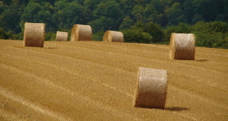 Imprimer en 3D à base de paille pourrait coûter deux fois moins cher | Eco-conception | Scoop.it