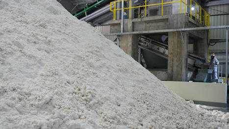 BOLIVIE : la première usine de carbonate de lithium cache mal les difficultés du secteur | AMÉRIQUES | Scoop.it