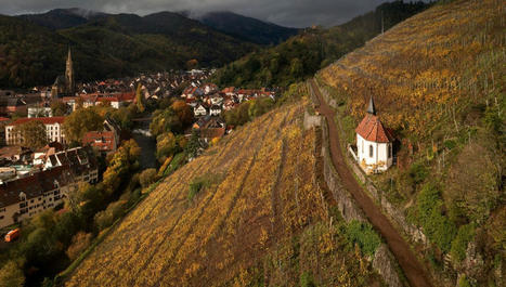 La loi z&eacute;ro artificialisation nette s'impose-t-elle aux collectivit&eacute;s territoriales&nbsp;? | Veille "Villes de demain" | Scoop.it