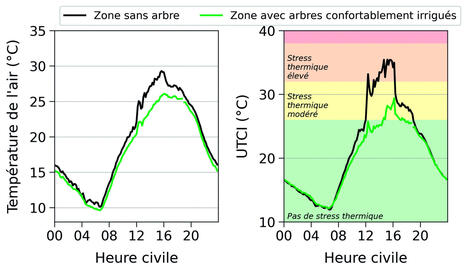 B&eacute;n&eacute;fices climatiques des arbres en ville | ESPACES VEGETALISES URBAINS | Scoop.it