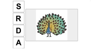 Kirjaimet ja &auml;&auml;nteet | 1Uutiset - Lukemisen t&auml;hden | Scoop.it