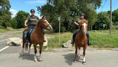 En Alsace, des gardes champêtres de la Brigade verte patrouillent à cheval - ici | Alsace Actu | Scoop.it