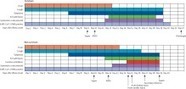Clinical course and risk factors for mortality of adult inpatients with COVID-19 in Wuhan, China: a retrospective cohort study - Lancet | Veille Coronavirus - Covid-19 | Scoop.it