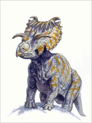 Fossils of new species of horned dinos found in Utah | Amazing Science | Scoop.it