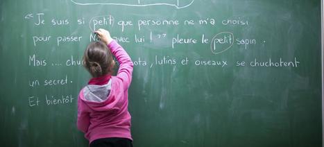 Le Figaro Premium - École: la réforme de l'orthographe ne satisfait personne | TICE et langues | Scoop.it