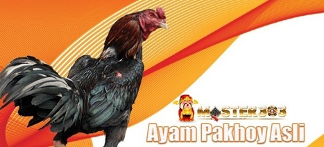 Bisnis Ternak Ayam Kampung Super Yang Menjanjik