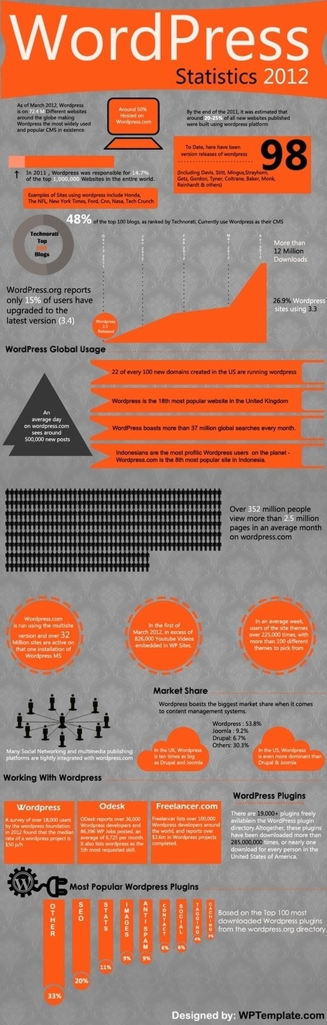 INFOGRAPHICS : Digital Maketing & More ! | WORDPRESS4You | Scoop.it