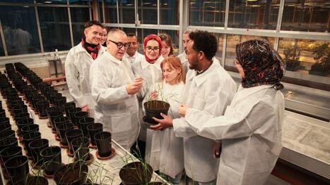 Comment l’université de Reims travaille pour rendre efficaces les pesticides biologiques | Le fil d'actualités de l'URCA | Scoop.it