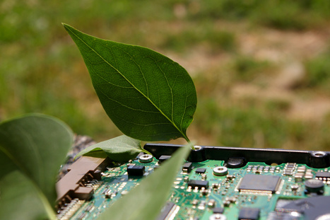 Promouvoir la « green technology » et ses métiers | Initiatives locales et paroles d'acteurs | Scoop.it
