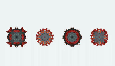 COVID-19's Lessons for Future Pandemics | dis.infected | Scoop.it