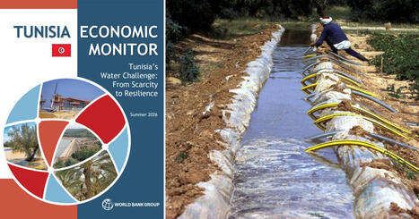 La crise de l&rsquo;eau pourrait co&ucirc;ter &agrave; la TUNISIE 6,4 % du PIB d&rsquo;ici 2050 | CIHEAM Press Review | Scoop.it