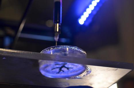 Models of hearts, arteries, bones and brains are now 3-D printed out of biological materials | Amazing Science | Scoop.it