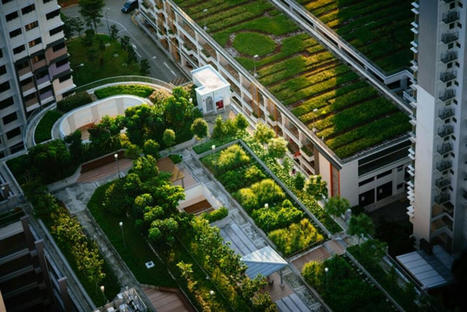 All You Need to Know About Green Roof Construction | Construction, réhabilitation et aménagement durables en Méditerranée | Scoop.it