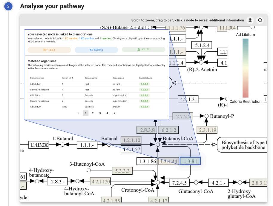 PathwayPilot: A User-Friendly Tool for Visualiz...
