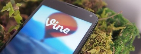 Vine gets advanced editing tools and now lets you import existing videos, just ... - The Next Web | Creative teaching and learning | Scoop.it