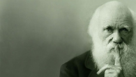 The Missing Link in Educational Technology | The 21st Century | Scoop.it