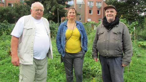 Hellemmes : des bails non reconduits pour quelques parcelles de jardins ouvriers de la Chapelle d&rsquo;&Eacute;locques | Nature en ville | Scoop.it