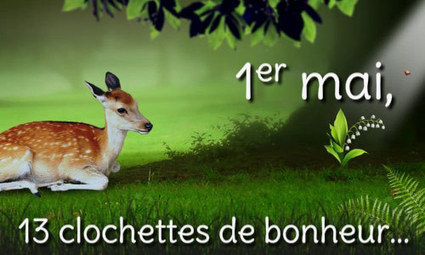 Cartes 1er Mai Muguet Envoyez Une Carte 1er