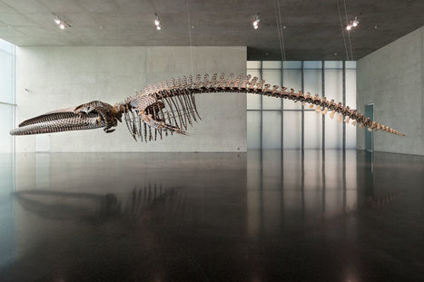Gabriel Orozco: Dark wave | Art Installations, Sculpture, Contemporary Art | Scoop.it