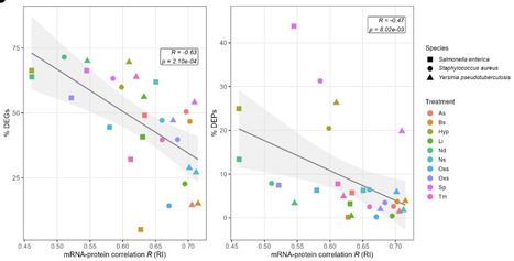 Bacterial Stress Responses Lower mRNA-Protein Level Correlations | brvsys | RMH | Scoop.it