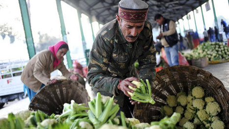 Linking up for a food-secure world | Food & Nutrition Security in East Africa | Scoop.it