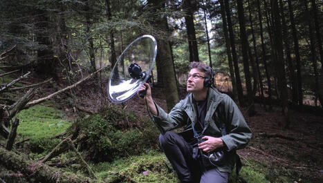 Marc Namblard, audio-naturaliste du film "Le Chant des for&ecirc;ts" : "Pour obtenir une belle mati&egrave;re il faut du temps" - France Culture | Biodiversit&eacute; | Scoop.it