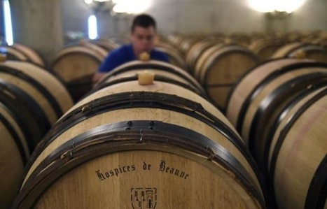 Vin et spiritueux: Cinq nouvelles qui vont (peut-être) vous surprendre | Le Cognac et son vignoble | Scoop.it