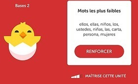 Jeu vidéo et FLE : qu'en pensent les étudiants? | Mission Jeux sérieux | Scoop.it