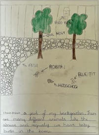 Quand les enfants dessinent la nature : une vision faussée de la faune et de la flore ? | Insect Archive | Scoop.it