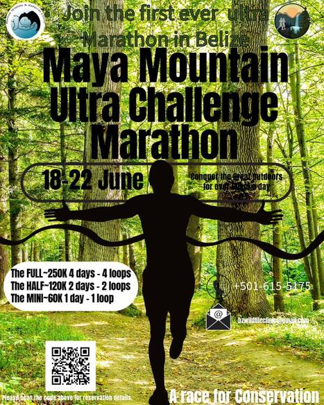 Maya Mountain Ultra Marathon | Cayo Scoop!  The Ecology of Cayo Culture | Scoop.it